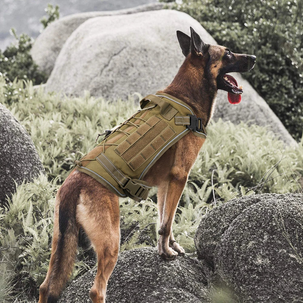 Military Tactical Dog Harness